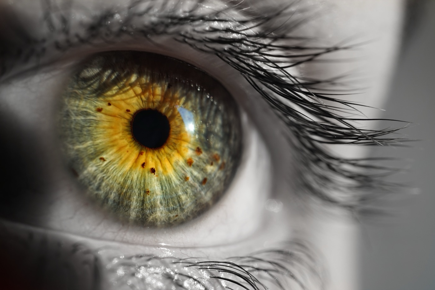 Macro photograph of an eye, by Bosco Roman